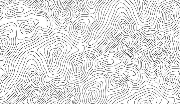 TOPOGRAPHIC MAP TEXTURE